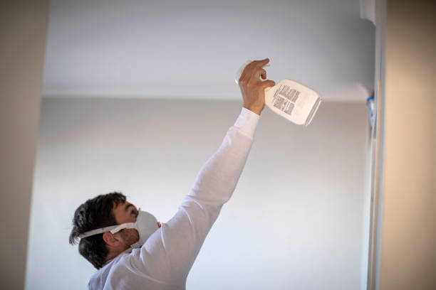 Best Mold Remediation Services  in Shelby, OH