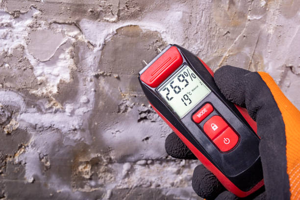 Best Mold Remediation  in Shelby, OH