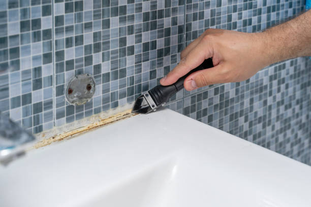Professional Mold Removal in Shelby, OH