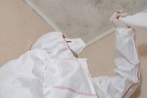 Best Toxic Mold Removal  in Shelby, OH