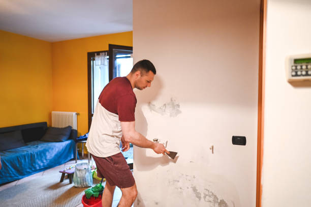 Best Mold Removal Process  in Shelby, OH